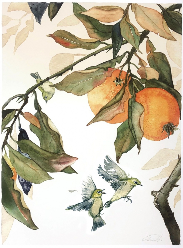 Citrusfåglar i gruppen Konstgalleri / Original hos NOA Gallery (100012_1898)