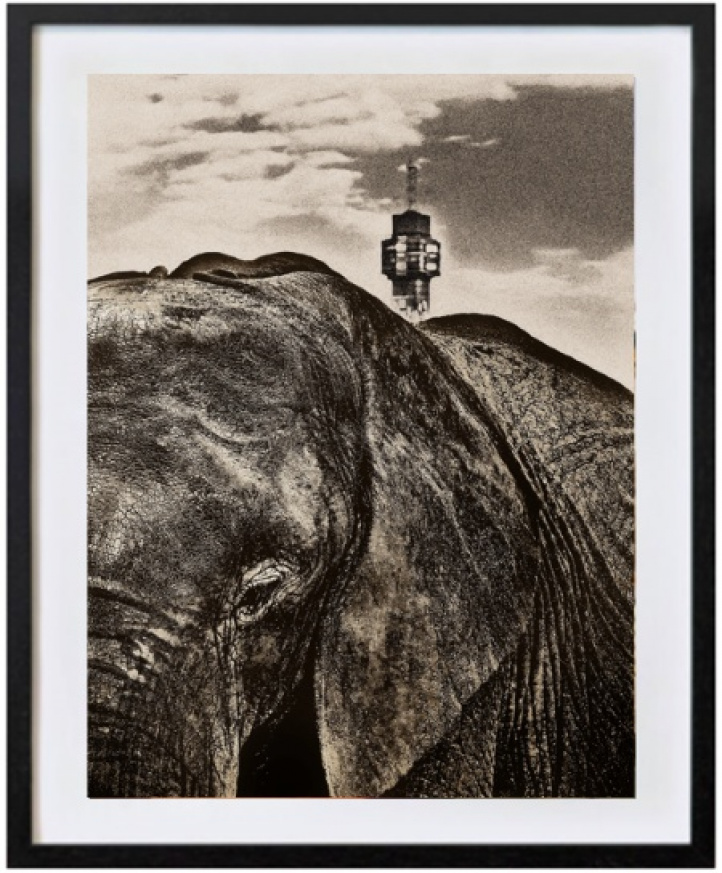Elephant Tower i gruppen Konstgalleri / Fotografier / Fotokonst hos NOA Gallery (100021_3755)