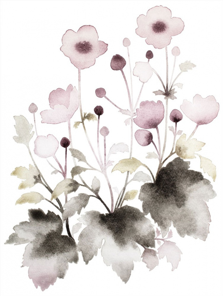 September Charms I i gruppen Konstgalleri / Påskens blomsterprakt hos NOA Gallery (100042_286)
