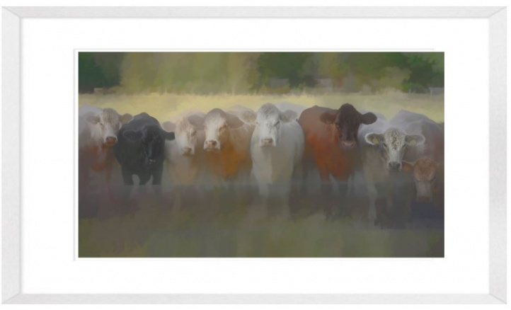 Cows II i gruppen Konstgalleri / Djur & natur / Naturmotiv hos NOA Gallery (100069_2882)