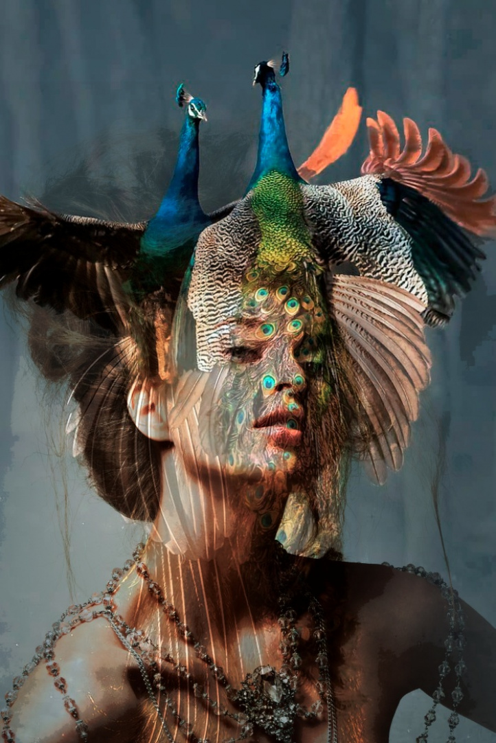 La Folie - Peacock i gruppen Konstgalleri / Inred med Konst / Stora tavlor hos NOA Gallery (100103_2016)
