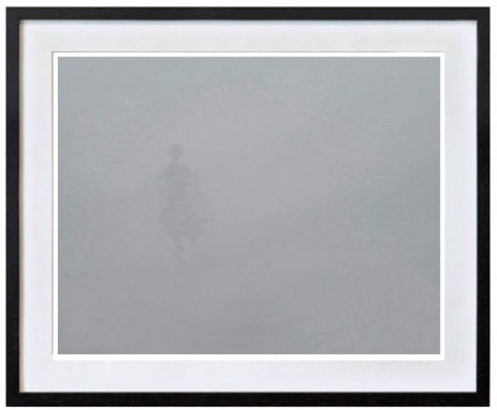 In a blurry haze i gruppen Konstgalleri / Djur & natur / Svenska landskap hos NOA Gallery (100167_1911)