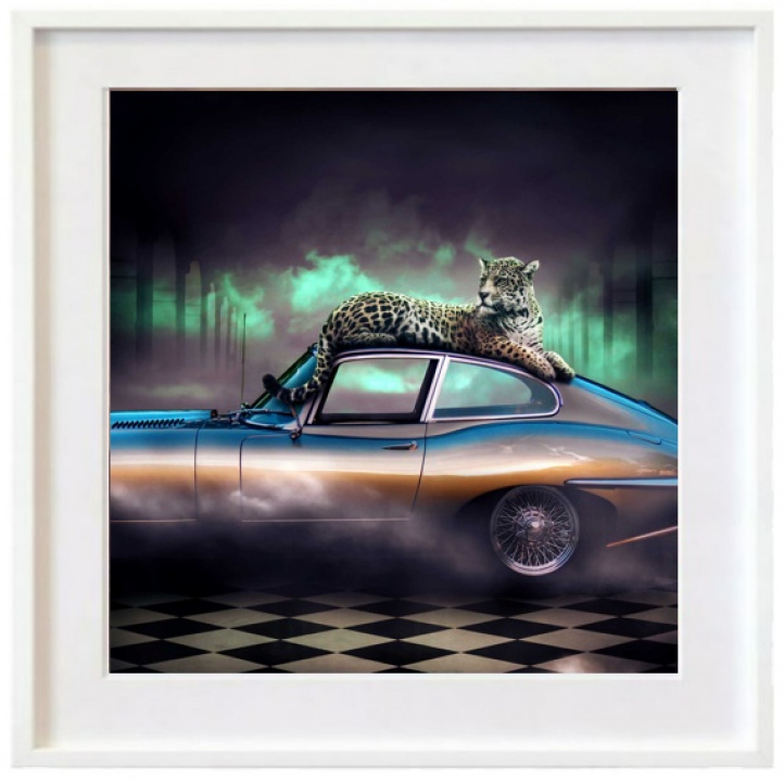 The Jaguar - Elegance (colour) i gruppen Konstgalleri / Djur & natur / Naturmotiv hos NOA Gallery (200239_3978)